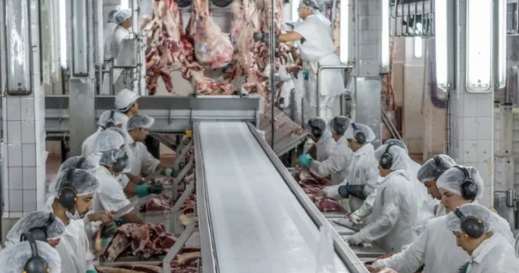 La faena bovina inició 2026 con una fuerte caída interanual